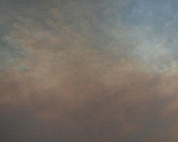 Госкомлесхоз: Киев дышит дымом из России