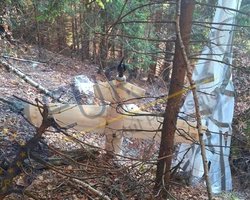 Не выглядит гражданским: в Румынии охотник нашел дрон с парашютом