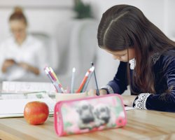 МОН определило перечень обязательных предметов для учеников, обучающихся за рубежом: список