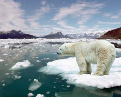 Тренды: глобальное потепление ненадолго откладывается