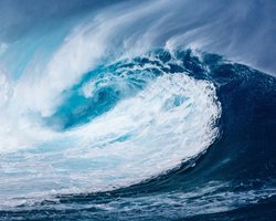 Цунами атакуют мир: эвакуация на Фукусиме, тревога на Гавайях и Калифорнии