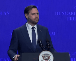 "Це абсурдно. Це неприйнятно": Венс розкритикував слова Зеленського про Орбана