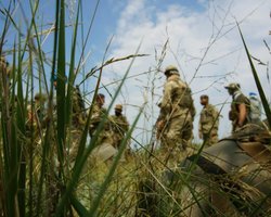 В ВСУ рассказали о потерях российских оккупантов на острове Змеиный