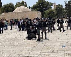 Первый день перемирия в Израиле: гумпомощь, драка на Храмовой горе, ХАМАС празднует победу