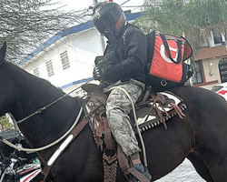Транспорт підвів: кур'єр вирішив доставляти замовлення верхи на коні (відео)