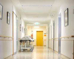 Число жертв эпидемии гриппа достигло 282