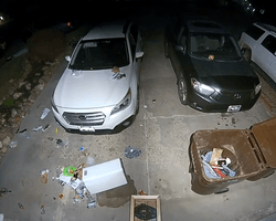 "Повний провал": пара виявила купу сміття у дворі, а запис з камери розсмішив їх і мережу (відео)