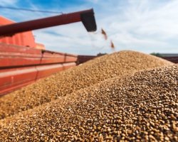 Украина передала гумпомощь Палестине, чтобы прокормить 100 000 человек, — МИД