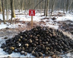 На арсенале под Ичней собрали почти 100 тысяч взрывоопасных предметов