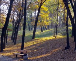 В Киеве появится IT-парк с Wi-Fi и памятником Стиву Джобсу 