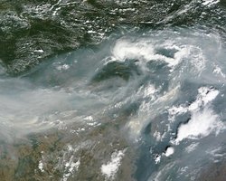 НАСА: дым от российских пожаров достиг стратосферы