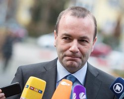 Популисты в Нидерландах сыграли свою игру, - евродепутат