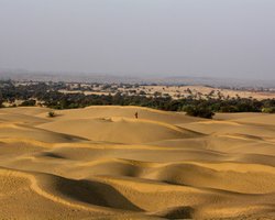 Чудове перетворення: знайдено те, що перетворює пустельний пісок на родючий ґрунт (відео)