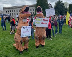 Выпустите нас! Как в мире и Украине протестуют против карантина и самоизоляции