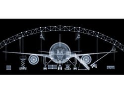 В Киеве пройдет выставка фотографий, сделанных рентгеновским аппаратом