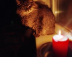 Отключения света в Украине: нардеп рассказал, как долго будут действовать графики (видео)