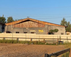 Російські дрони-камікадзе вдарили по кінно-спортивному клубу "Енд'юранс" (фото, відео)