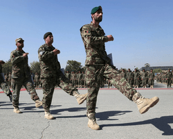 Около 50 тысяч: армия Афганистана была в разы меньше, чем заявлялось, - BBC