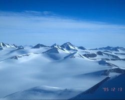 Лишь одно насекомое в мире способно выжить в суровой Антарктиде: оно размером с муравья (видео)