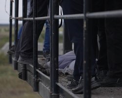 Тела оставляли гнить, убитых хоронили соседи: последствия оккупации Харьковщины (фото, видео)