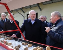 Лукашенко назвал протестующих в Минске мордоворотами: "Ходят по Минску, а кушать-то хотят"