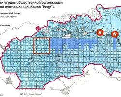 Охотничьи угодья под Межигорьем сдали в аренду Януковичу, - СМИ