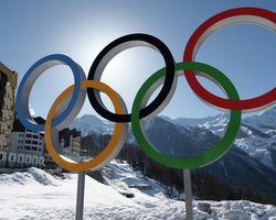 Украинских спортсменов призвали прекратить выступления на Олимпиаде в Сочи