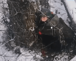 В ССО прокомментировали информацию об отводе солдат КНДР с передовой на Курщине