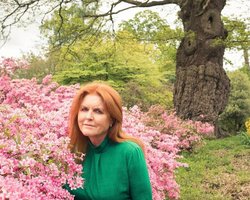 "Женись на мне": бывшая жена принца Эндрю писала письма Эпштейну