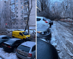 Негода в Києві: через сильний вітер падають дерева, а вулиці столиці стали "ковзанкою" (відео)