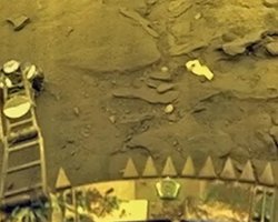 На Венері змогли вижити 7 гостей із Землі, вважають учені (фото)