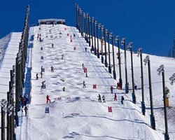Канада берет две медали во фристайле