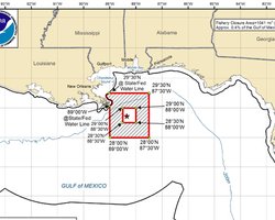 США разрешили рыбалку в районе разлива нефти