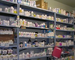 В аптеках Тернополя отсутствуют противовирусные препараты и защитные маски