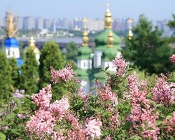 КГГА: Празднование Дня Киева обойдется в 2 миллиона гривен