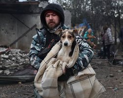 У Запоріжжі ЗС РФ влучили по собачому притулку: влаштували "жахливий терор", — міськрада (фото)