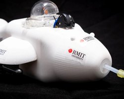 Робот-дельфин вскоре сможет откачивать нефть с поверхности моря (фото)