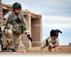 В Британии отдали военные почести солдату и собаке