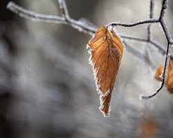 Погода на завтра: каким будет начало недели