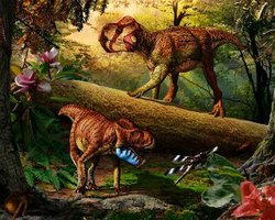 Палеонтологи нашли два новых вида динозавров в запасниках музея