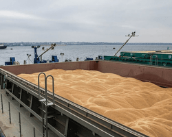 Импорт украинского зерна: Польша не снимет запрет и введет новые ограничения