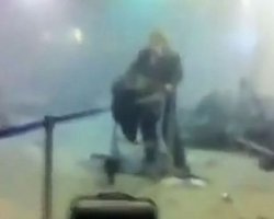 В Домодедово нашли останки предполагаемого смертника