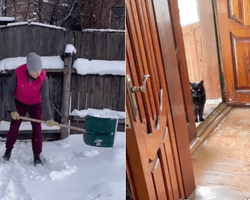 Українці купили хату, а там на них чекав сюрприз: "Ми не очікували" (фото)