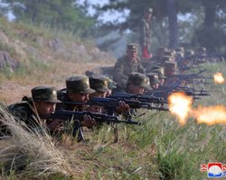 Первый бой: войска КНДР пытались прорвать оборону ВСУ под Курском, — NYT