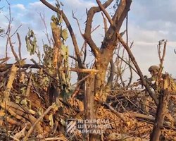 "Если скулит — бросай гранату": 3 ОШБр показала зачистку возле Бахмута (видео)