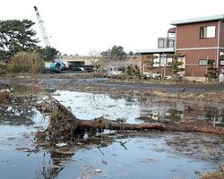 МАГАТЭ направит своих специалистов в Японию