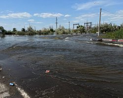 "Вода опасна": на Херсонщине запретили купание, вылов и продажу рыбы