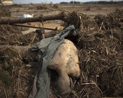 Японская армия будет искать пропавших без вести