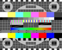 Большинство россиян поддержали отказ Первого канала транслировать Евровидение