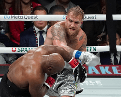 После боя с Тайсоном: Пол вызвал нового оппонента на поединок по правилам ММА